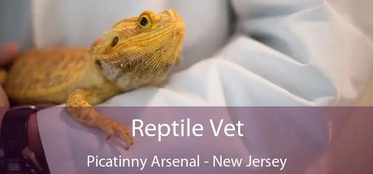 Reptile Vet Picatinny Arsenal - New Jersey