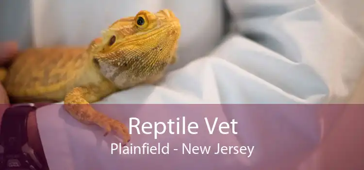 Reptile Vet Plainfield - New Jersey