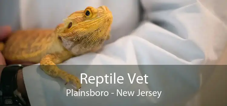 Reptile Vet Plainsboro - New Jersey