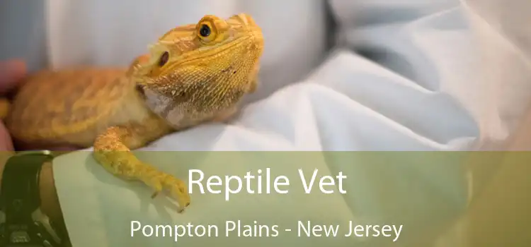 Reptile Vet Pompton Plains - New Jersey