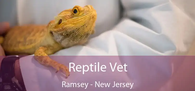 Reptile Vet Ramsey - New Jersey