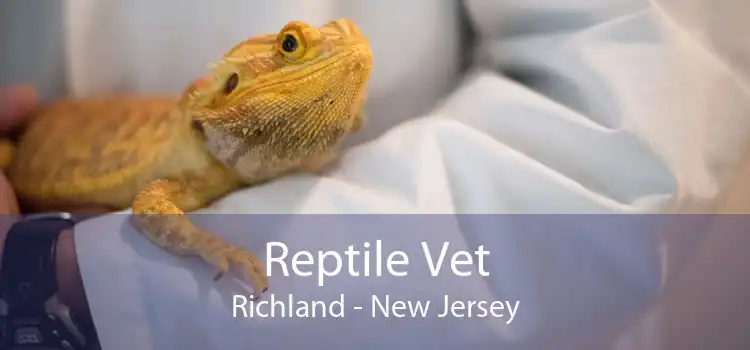 Reptile Vet Richland - New Jersey