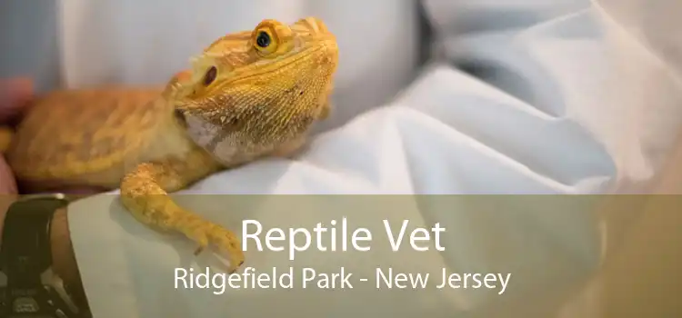 Reptile Vet Ridgefield Park - New Jersey