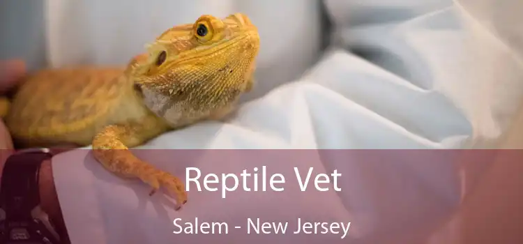 Reptile Vet Salem - New Jersey