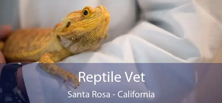 Reptile Vet Santa Rosa - California