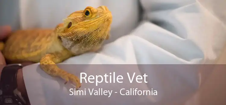Reptile Vet Simi Valley - California