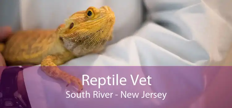 Reptile Vet South River - New Jersey