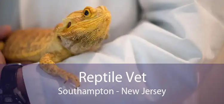 Reptile Vet Southampton - New Jersey