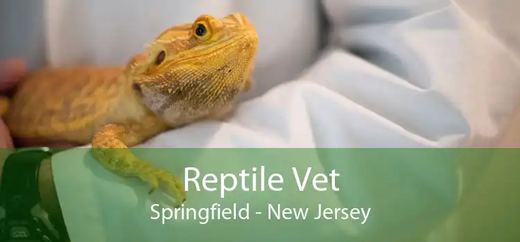 Reptile Vet Springfield - New Jersey