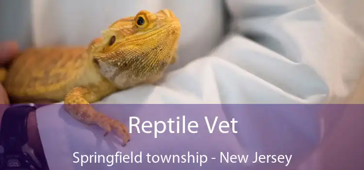 Reptile Vet Springfield township - New Jersey