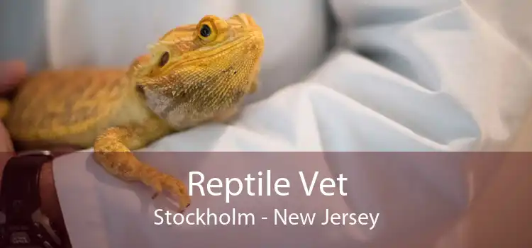 Reptile Vet Stockholm - New Jersey