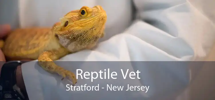 Reptile Vet Stratford - New Jersey