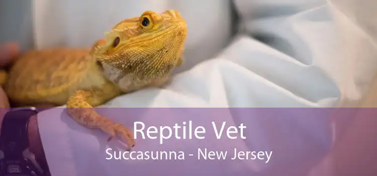 Reptile Vet Succasunna - New Jersey