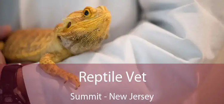 Reptile Vet Summit - New Jersey