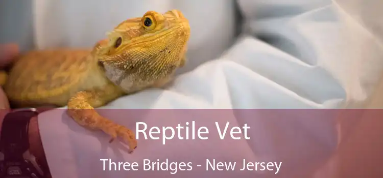 Reptile Vet Three Bridges - New Jersey