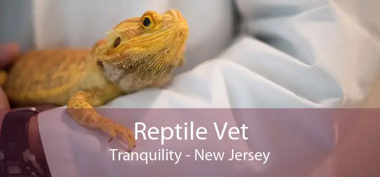 Reptile Vet Tranquility - New Jersey