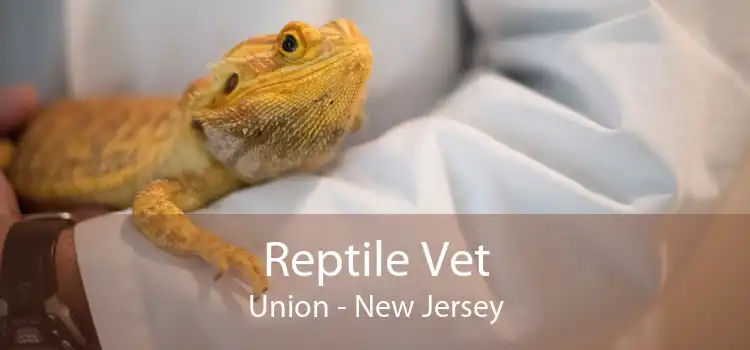 Reptile Vet Union - New Jersey