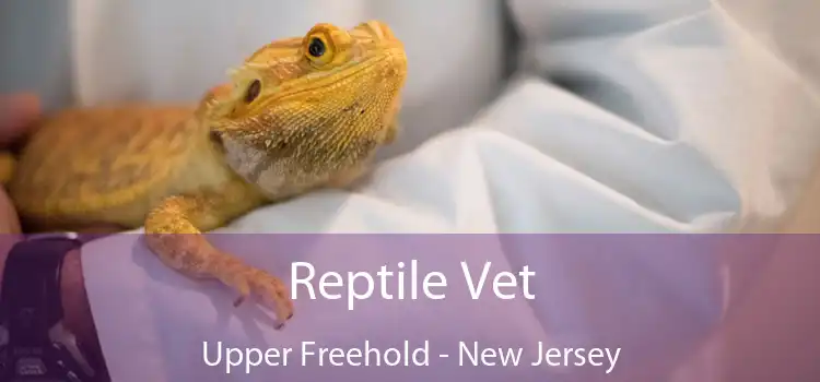 Reptile Vet Upper Freehold - New Jersey