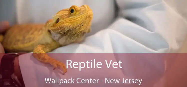 Reptile Vet Wallpack Center - New Jersey