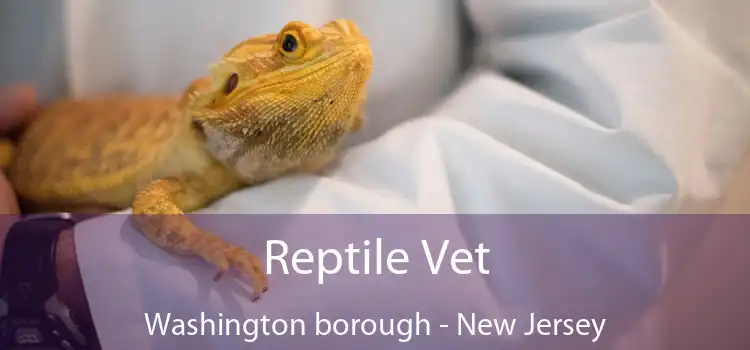 Reptile Vet Washington borough - New Jersey