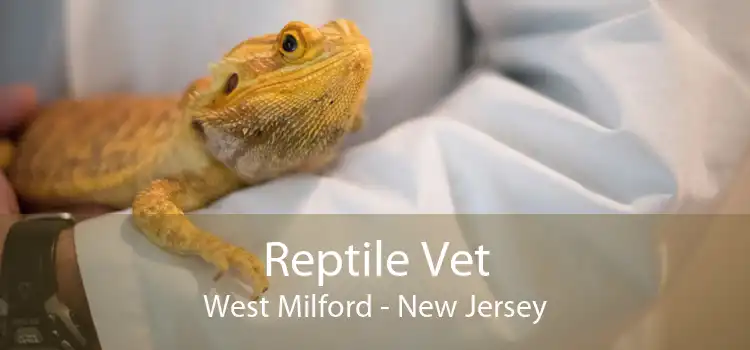 Reptile Vet West Milford - New Jersey