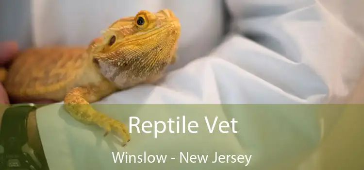 Reptile Vet Winslow - New Jersey