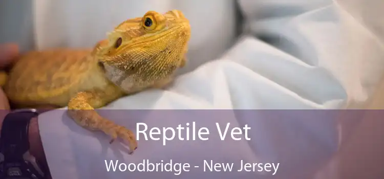 Reptile Vet Woodbridge - New Jersey