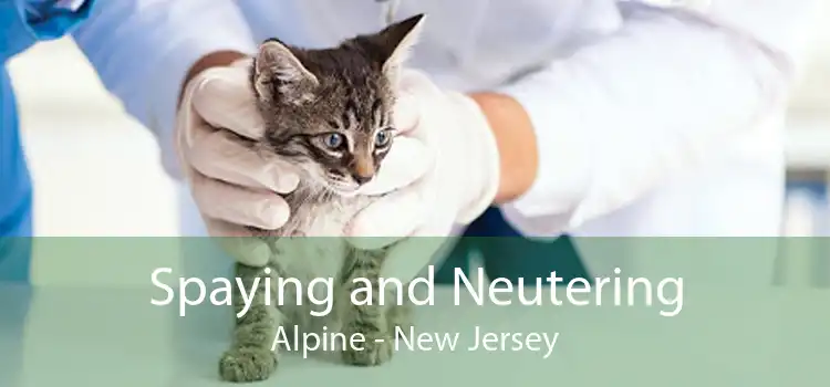 Spaying and Neutering Alpine - New Jersey