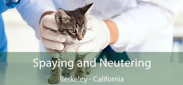 Spaying and Neutering Berkeley - California