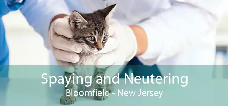 Spaying and Neutering Bloomfield - New Jersey