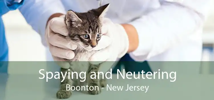 Spaying and Neutering Boonton - New Jersey