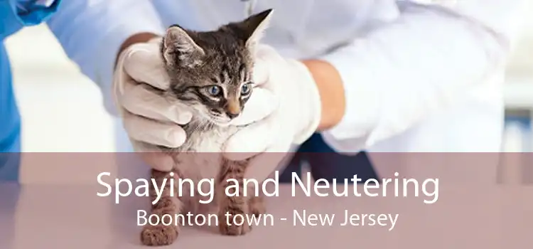 Spaying and Neutering Boonton town - New Jersey