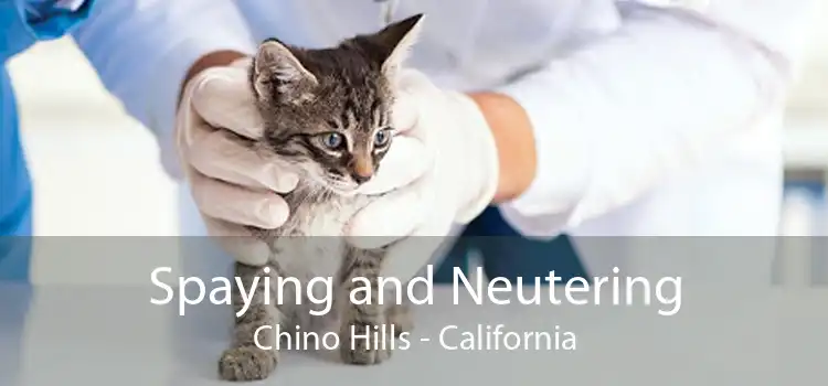 Spaying and Neutering Chino Hills - California