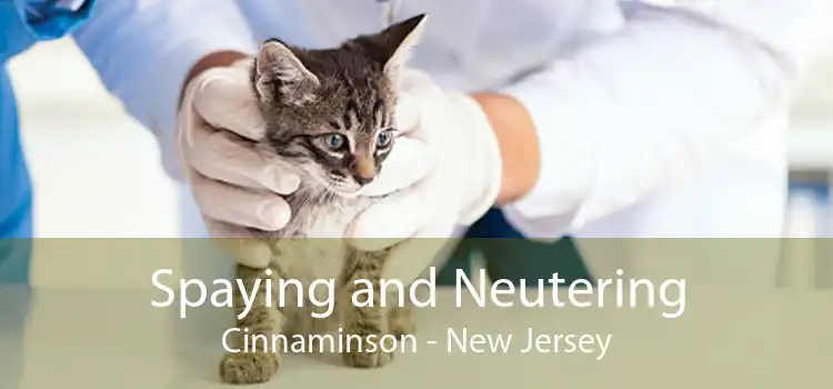 Spaying and Neutering Cinnaminson - New Jersey