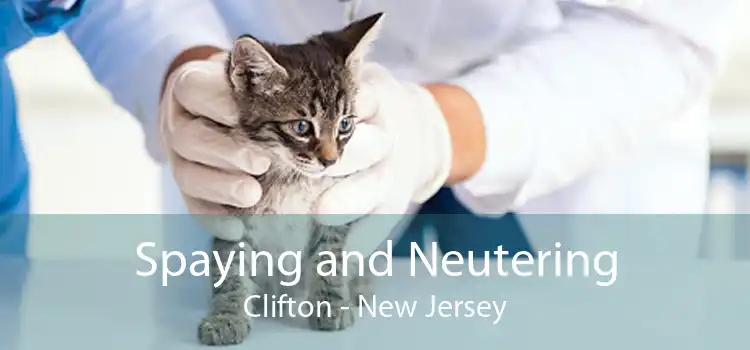 Spaying and Neutering Clifton - New Jersey