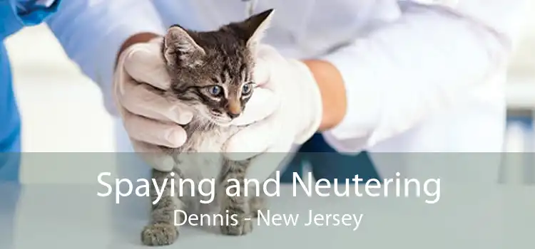 Spaying and Neutering Dennis - New Jersey
