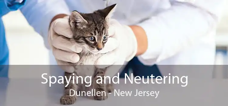 Spaying and Neutering Dunellen - New Jersey