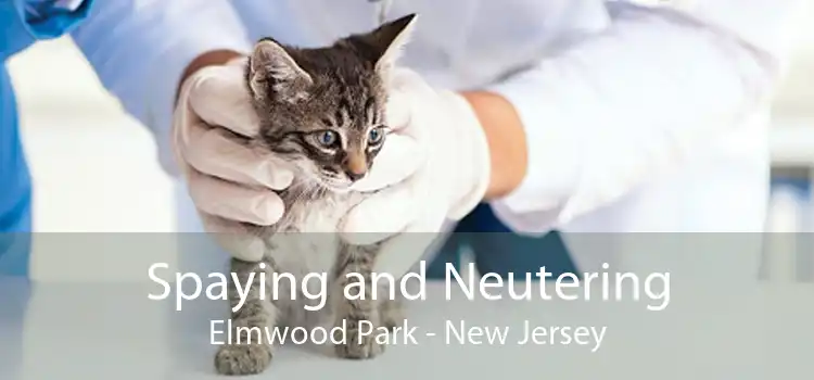 Spaying and Neutering Elmwood Park - New Jersey
