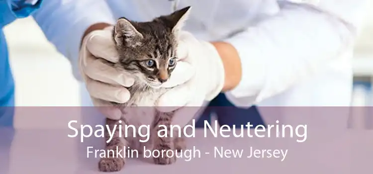 Spaying and Neutering Franklin borough - New Jersey