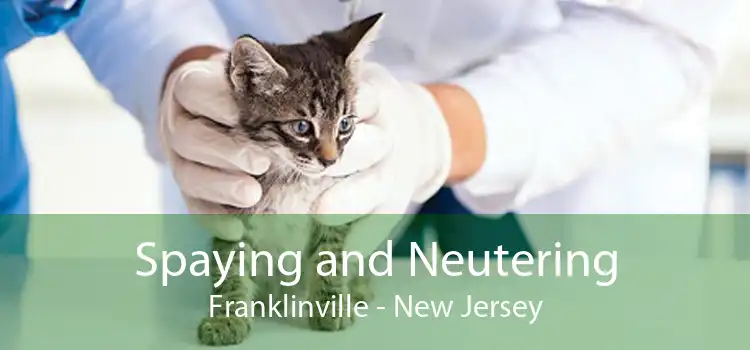 Spaying and Neutering Franklinville - New Jersey