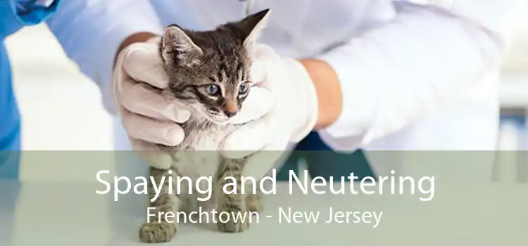 Spaying and Neutering Frenchtown - New Jersey