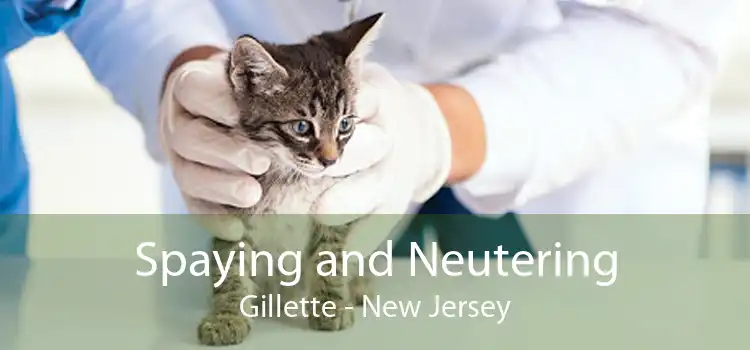 Spaying and Neutering Gillette - New Jersey