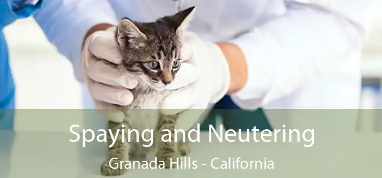 Spaying and Neutering Granada Hills - California