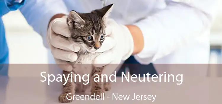 Spaying and Neutering Greendell - New Jersey