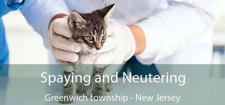 Spaying and Neutering Greenwich township - New Jersey