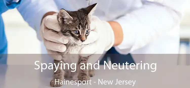 Spaying and Neutering Hainesport - New Jersey
