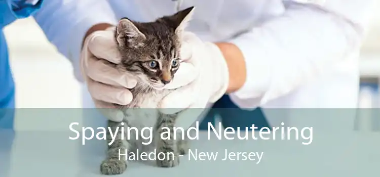 Spaying and Neutering Haledon - New Jersey