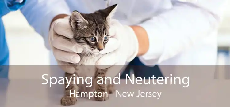Spaying and Neutering Hampton - New Jersey