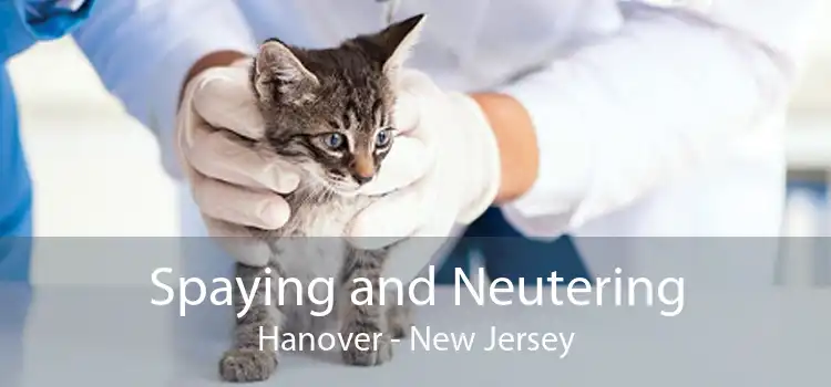 Spaying and Neutering Hanover - New Jersey