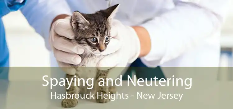 Spaying and Neutering Hasbrouck Heights - New Jersey